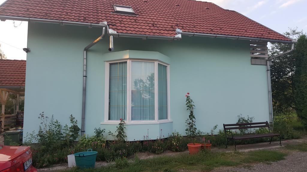 Casa Cristina Villa Szováta Kültér fotó