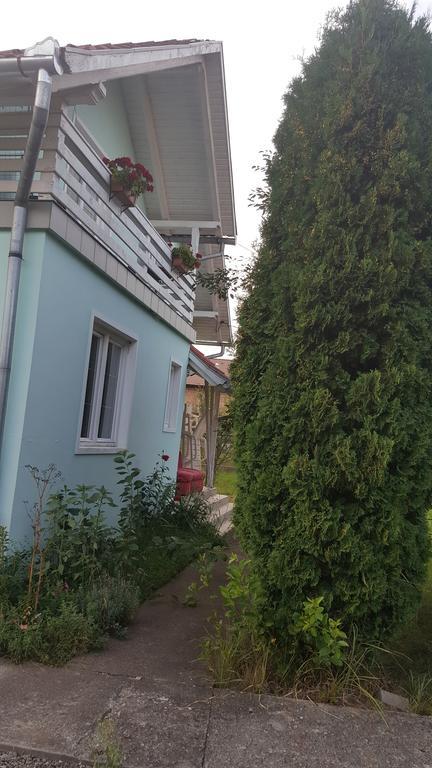 Casa Cristina Villa Szováta Kültér fotó