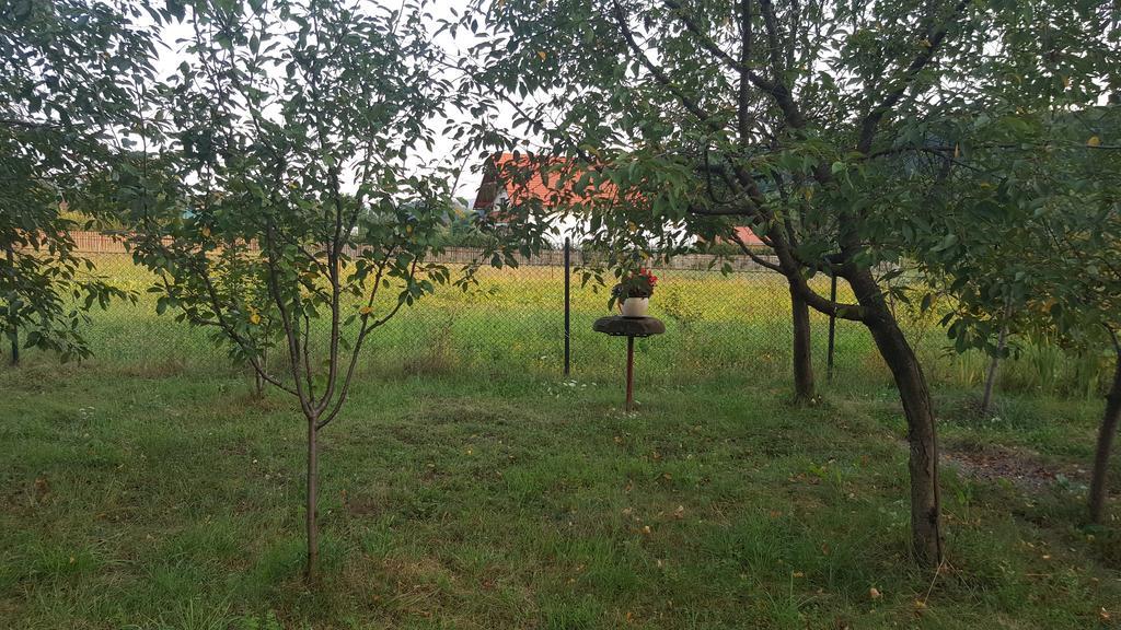 Casa Cristina Villa Szováta Kültér fotó